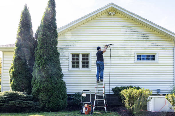 Best Patio and Deck Pressure Washing  in Massapequa Park, NY